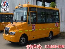 厂价直销幼儿校车价格 大力校车供 牛鼻价格及规格型号