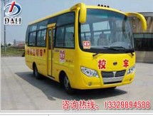大力校车厂价直销及运营服务全解析