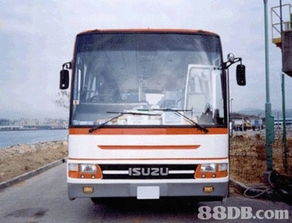 校车服务与多元用车解决方案 从专营厂车到婚礼花车的一站式服务